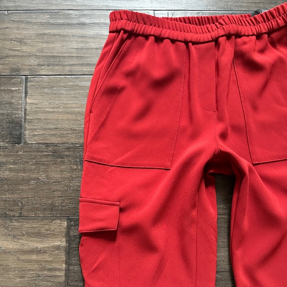 THEORY Amazing Brick Red  Cargo Jogger Pants Sz 2 NWT $325!! - Picture 2 of 5